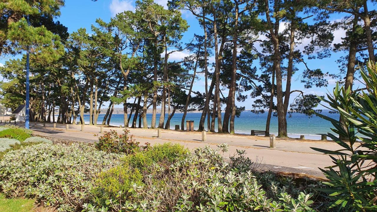 Vacances O Cap Coz - Jardin Vue Mer Et Piscine - Residence Cap Azur Fouesnant Ngoại thất bức ảnh